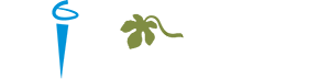 AIA